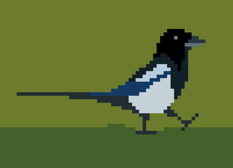 a pixel art rendition of a magpie, walking